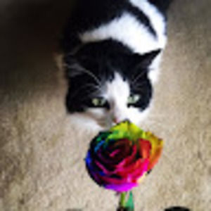 Meet your Posher, Cholena